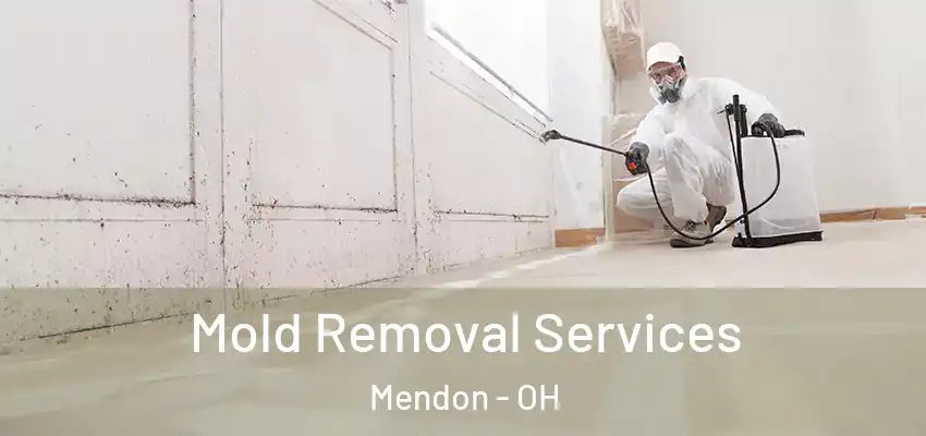 Mold Removal Services Mendon - OH