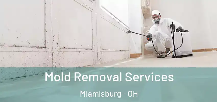  Mold Removal Services Miamisburg - OH