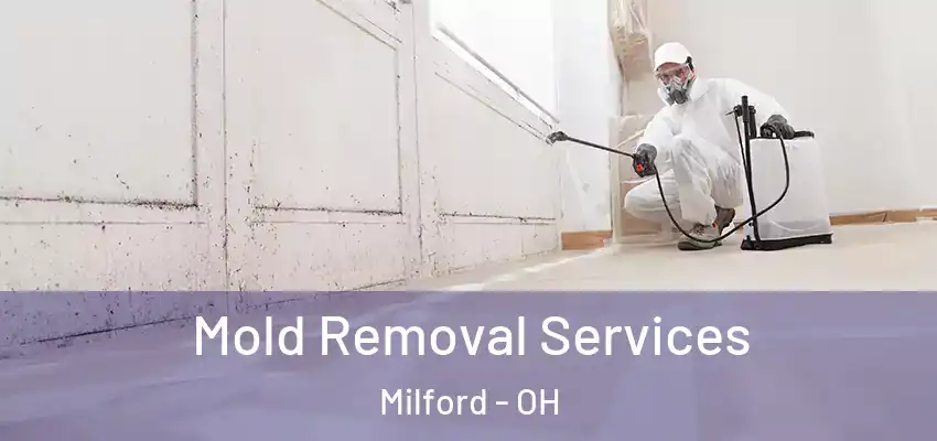  Mold Removal Services Milford - OH