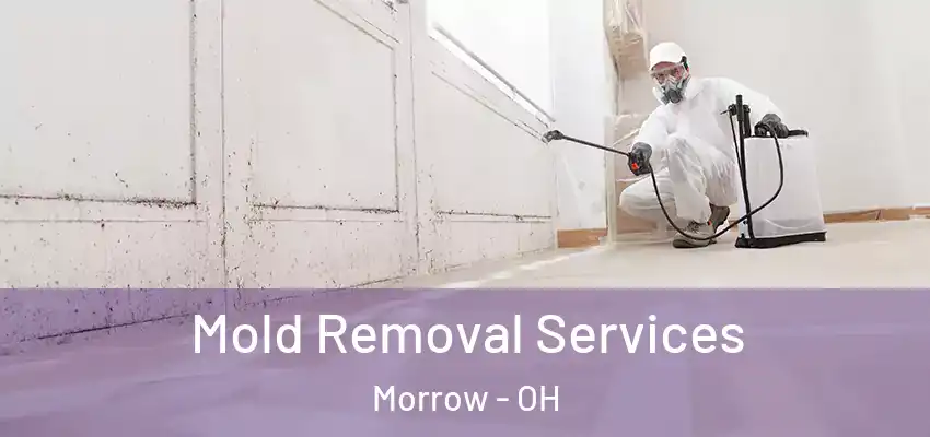 Mold Removal Services Morrow - OH