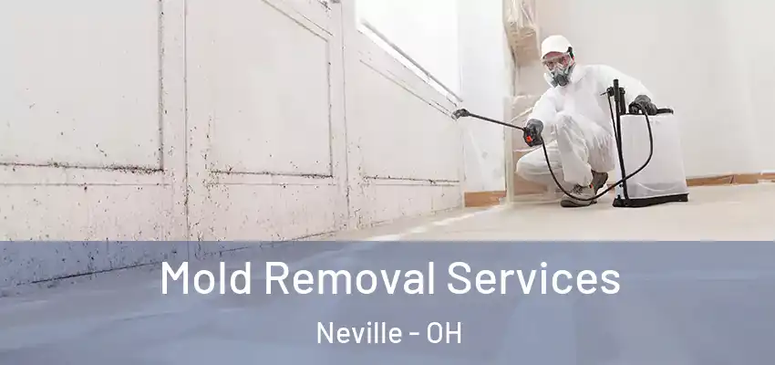  Mold Removal Services Neville - OH