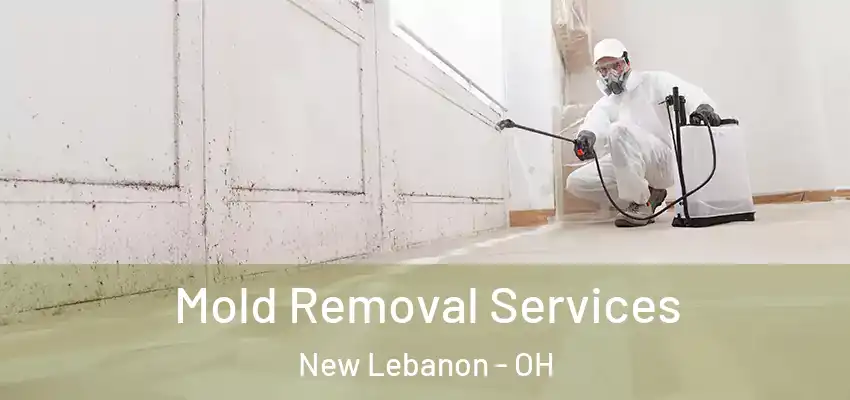  Mold Removal Services New Lebanon - OH