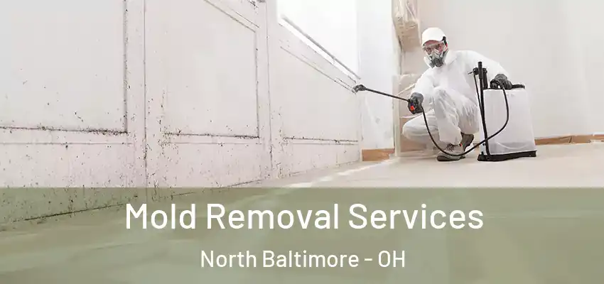  Mold Removal Services North Baltimore - OH