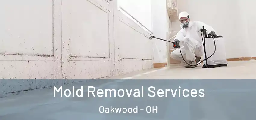  Mold Removal Services Oakwood - OH