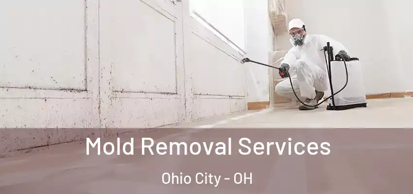  Mold Removal Services Ohio City - OH