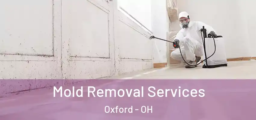 Mold Removal Services Oxford - OH