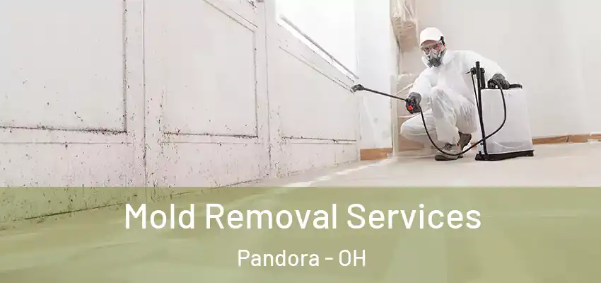  Mold Removal Services Pandora - OH