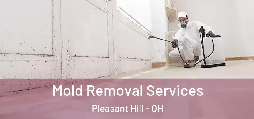  Mold Removal Services Pleasant Hill - OH