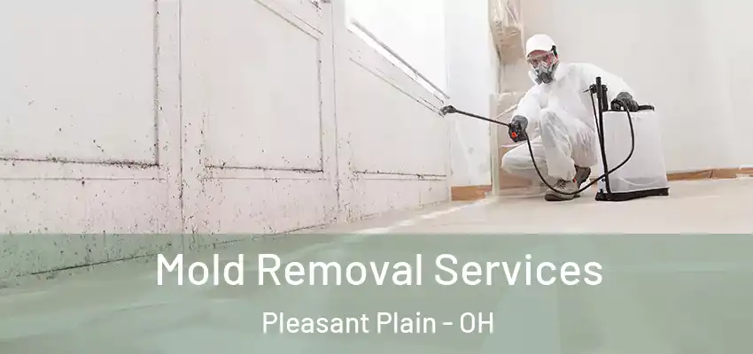  Mold Removal Services Pleasant Plain - OH