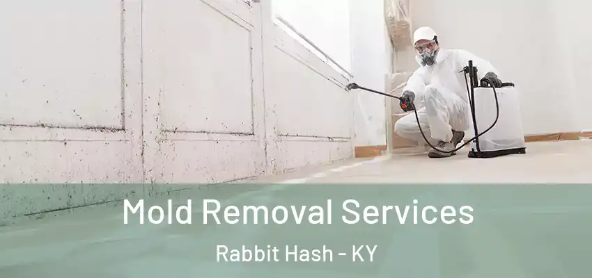  Mold Removal Services Rabbit Hash - KY