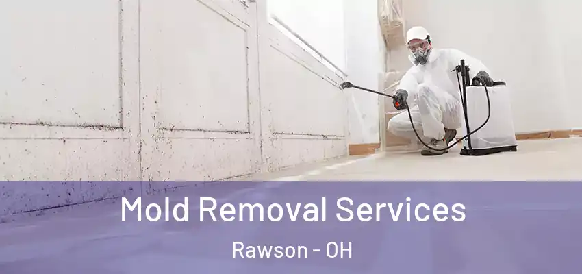 Mold Removal Services Rawson - OH