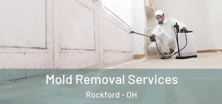 Mold Removal Services Rockford - OH