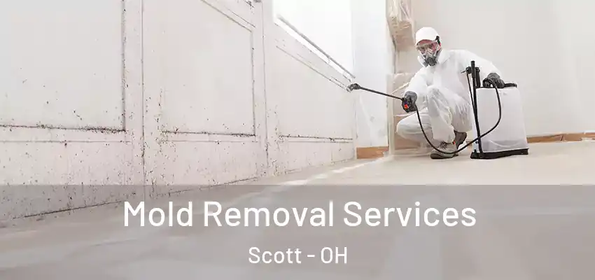 Mold Removal Services Scott - OH