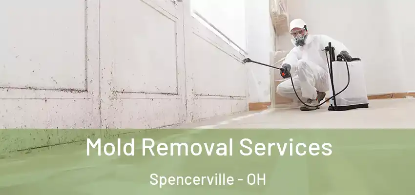  Mold Removal Services Spencerville - OH