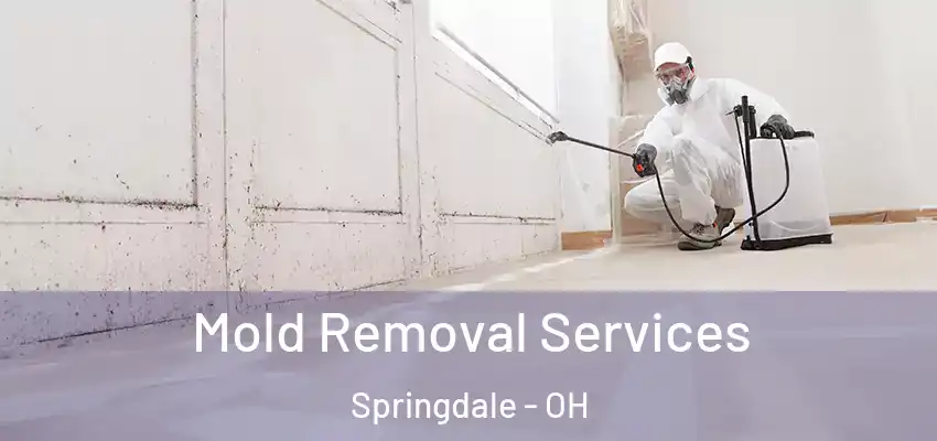  Mold Removal Services Springdale - OH