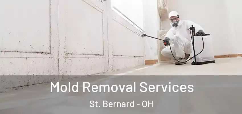  Mold Removal Services St. Bernard - OH