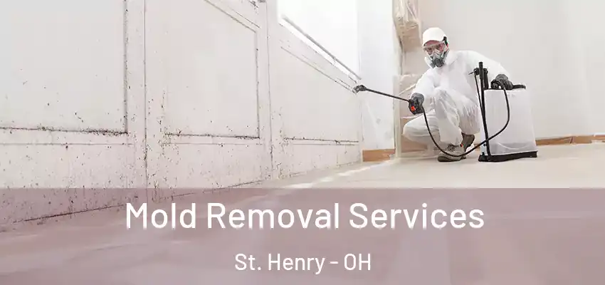  Mold Removal Services St. Henry - OH