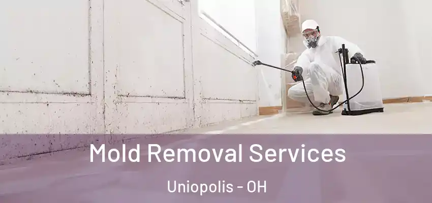  Mold Removal Services Uniopolis - OH