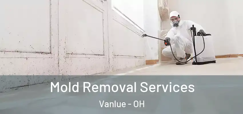  Mold Removal Services Vanlue - OH