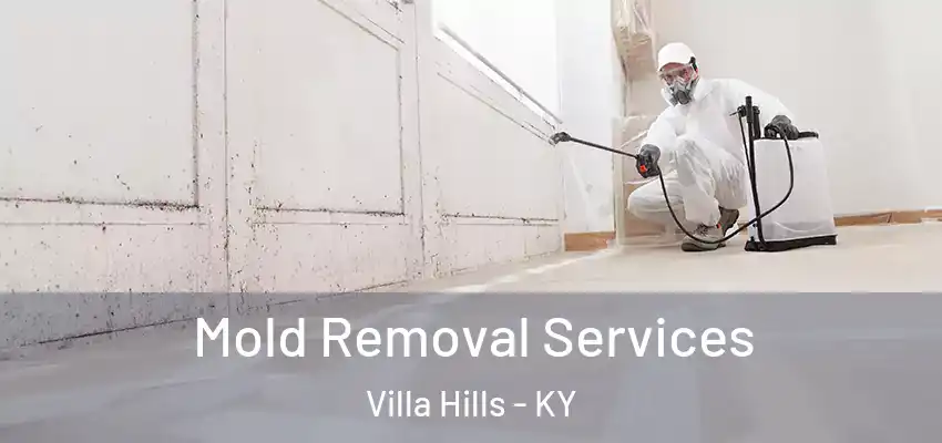 Mold Removal Services Villa Hills - KY