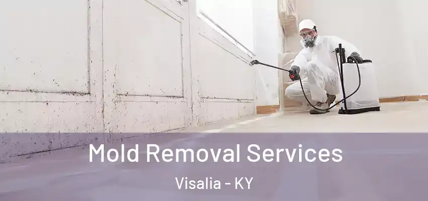  Mold Removal Services Visalia - KY