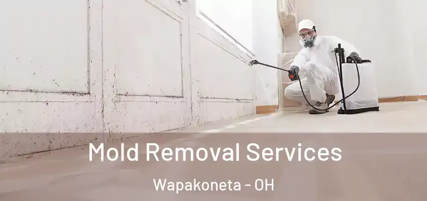  Mold Removal Services Wapakoneta - OH