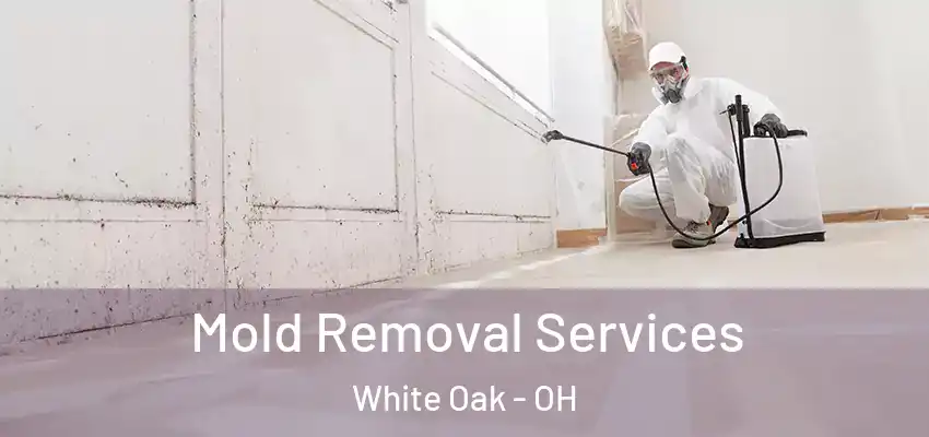  Mold Removal Services White Oak - OH