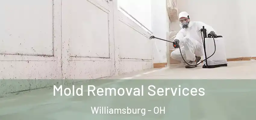  Mold Removal Services Williamsburg - OH
