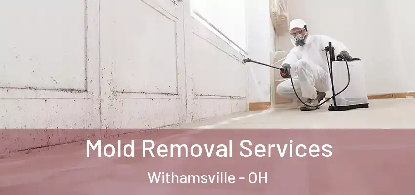  Mold Removal Services Withamsville - OH