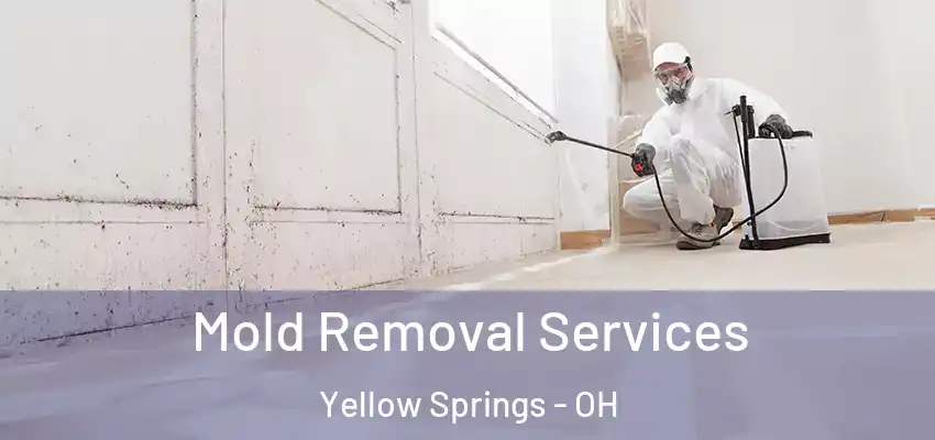  Mold Removal Services Yellow Springs - OH