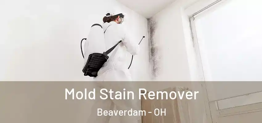  Mold Stain Remover Beaverdam - OH