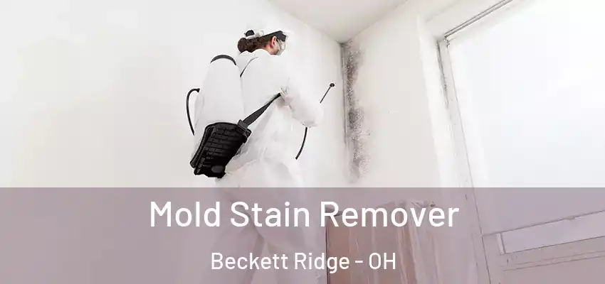 Mold Stain Remover Beckett Ridge - OH