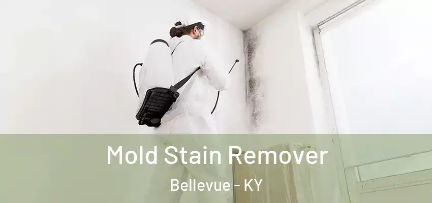  Mold Stain Remover Bellevue - KY