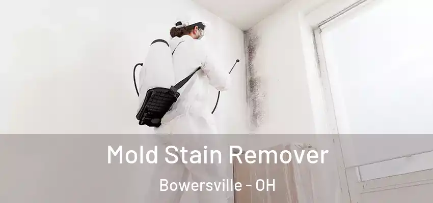 Mold Stain Remover Bowersville - OH