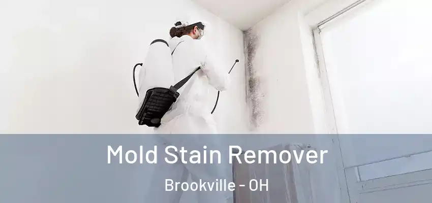 Mold Stain Remover Brookville - OH