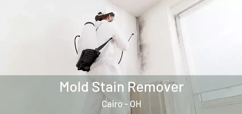  Mold Stain Remover Cairo - OH