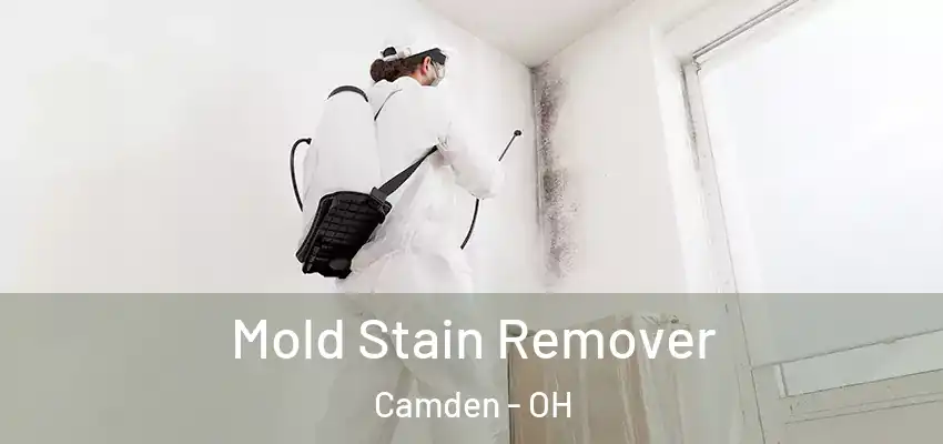  Mold Stain Remover Camden - OH
