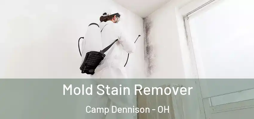  Mold Stain Remover Camp Dennison - OH