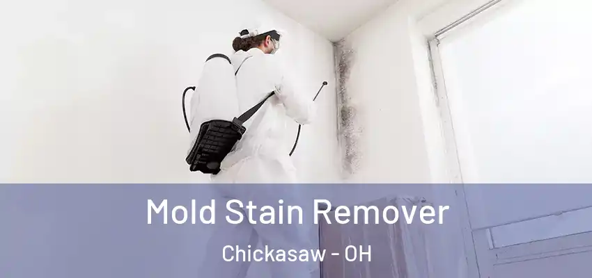  Mold Stain Remover Chickasaw - OH