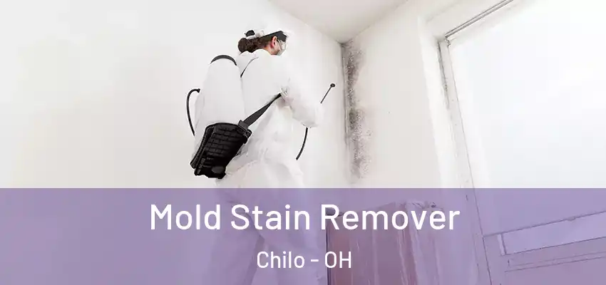  Mold Stain Remover Chilo - OH
