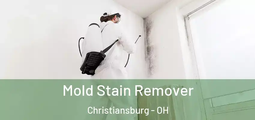 Mold Stain Remover Christiansburg - OH