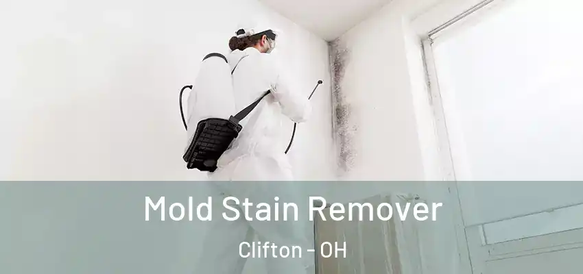 Mold Stain Remover Clifton - OH
