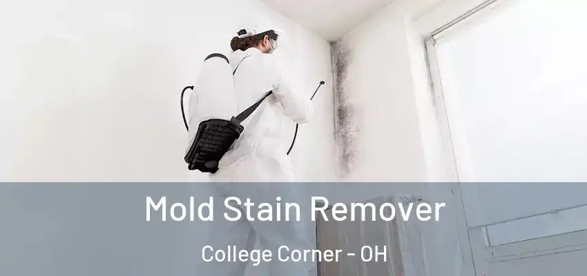  Mold Stain Remover College Corner - OH