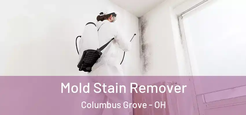 Mold Stain Remover Columbus Grove - OH