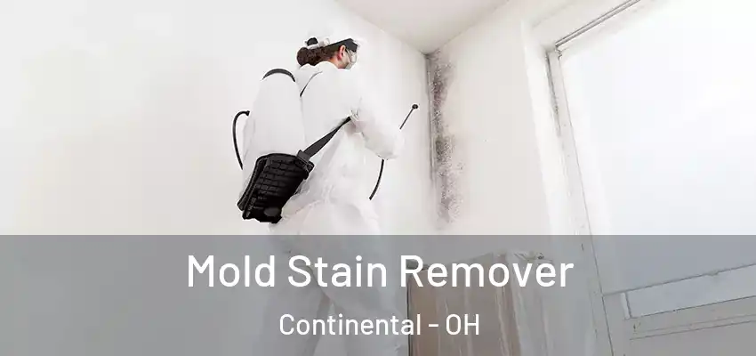  Mold Stain Remover Continental - OH
