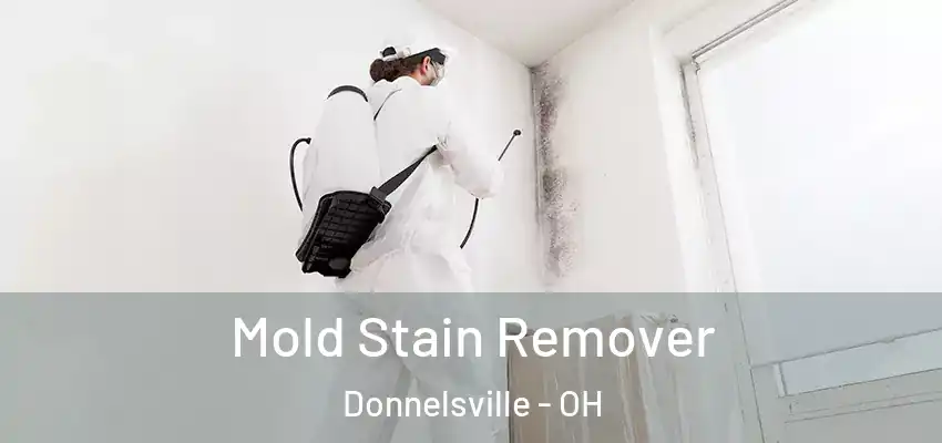 Mold Stain Remover Donnelsville - OH