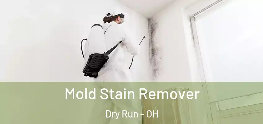 Mold Stain Remover Dry Run - OH