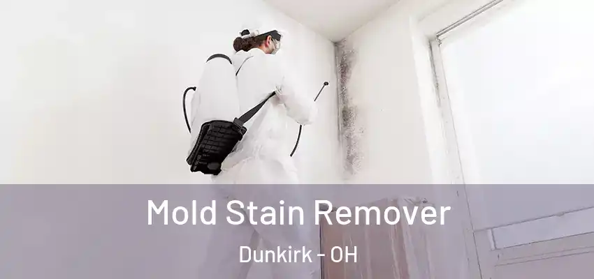  Mold Stain Remover Dunkirk - OH