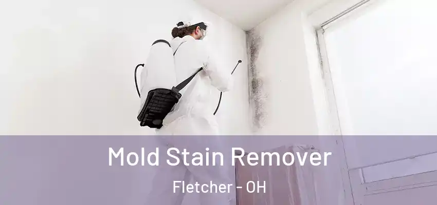 Mold Stain Remover Fletcher - OH