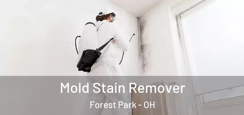  Mold Stain Remover Forest Park - OH